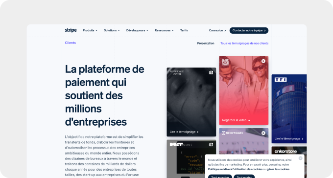 stripe exemple article
